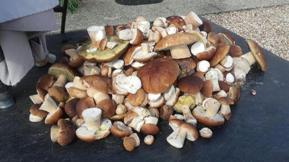 La Pastorale Panzió La Puisaye Kültér fotó