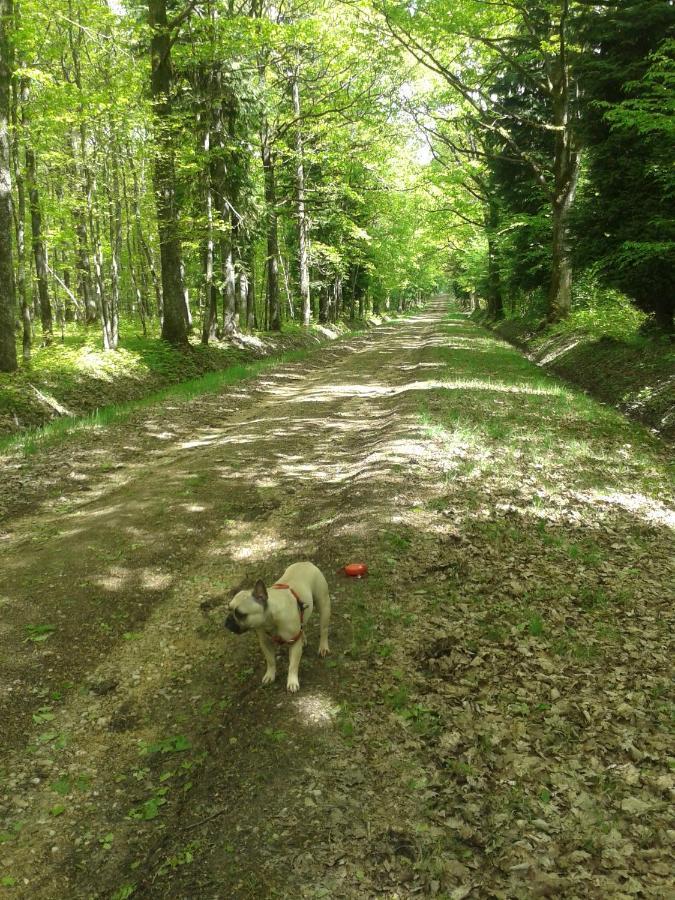 La Pastorale Panzió La Puisaye Kültér fotó